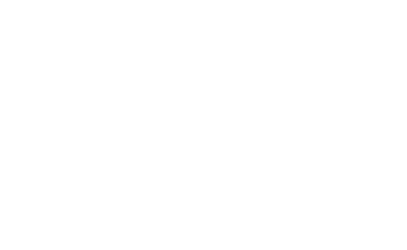 Pinea Logistics — When you need results